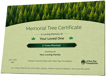Plant Trees in Memory of William Donell Scott
